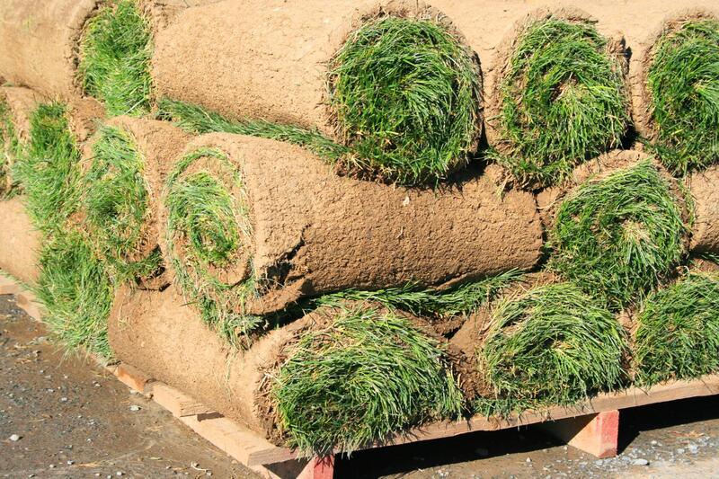 el-paso-landscaping-design-sod-artificial-grass-installation-2